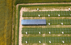 ABO Energy Niederkirchen solar park