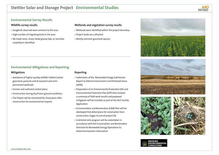 Environmental Studies
