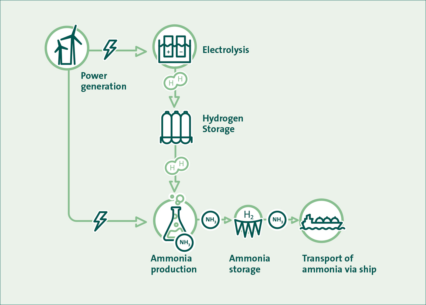 How the Project Works