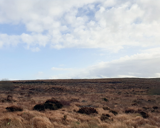 02. Why Meenakeeran?