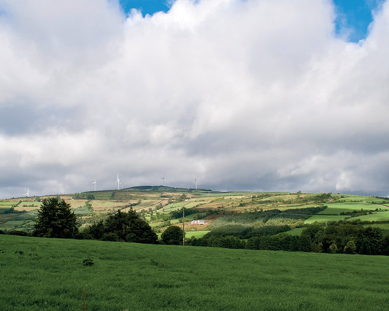 05. How will the project look?