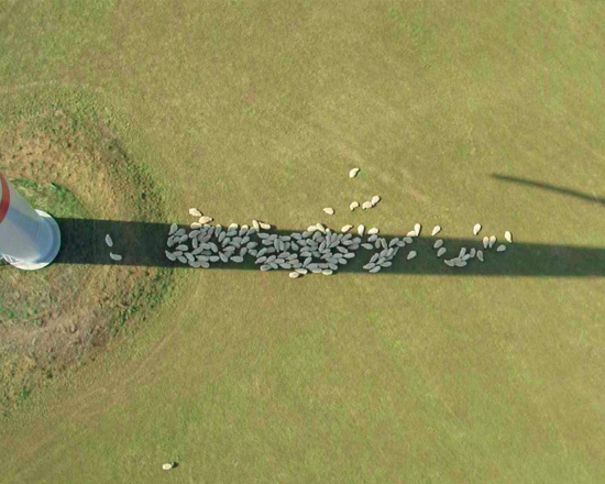 09. Environmental Considerations