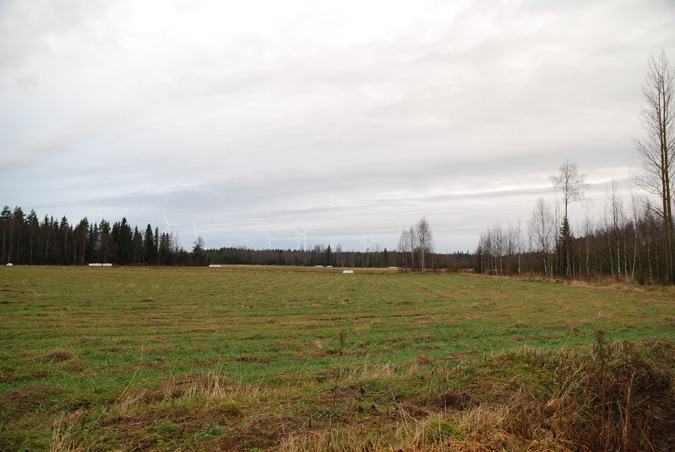 Kuvauspaikka: Pellonpää