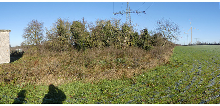 Visualisierung Windpark Bad Belzig