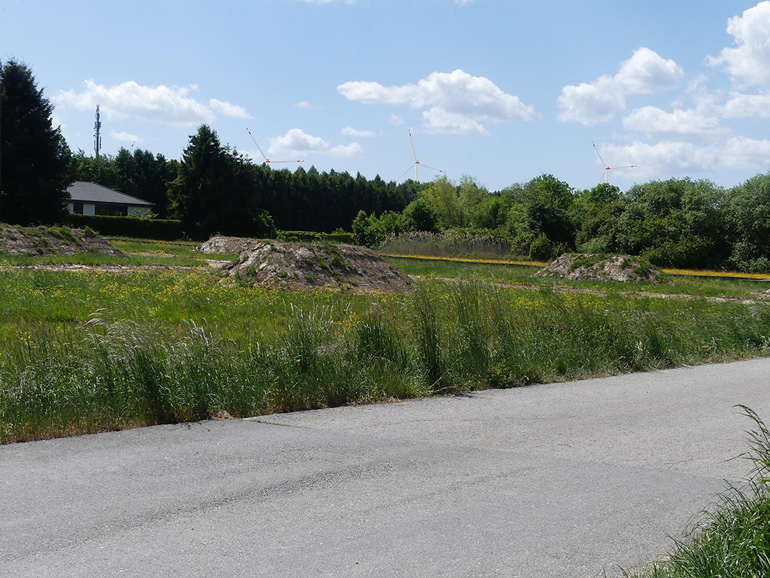 Fotopunkt 05 Walldürn