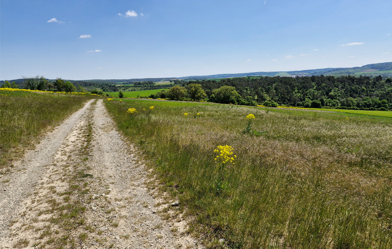Solarparkplanung in Karbach