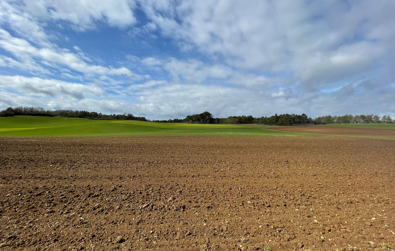 Solarparkplanung in Karbach