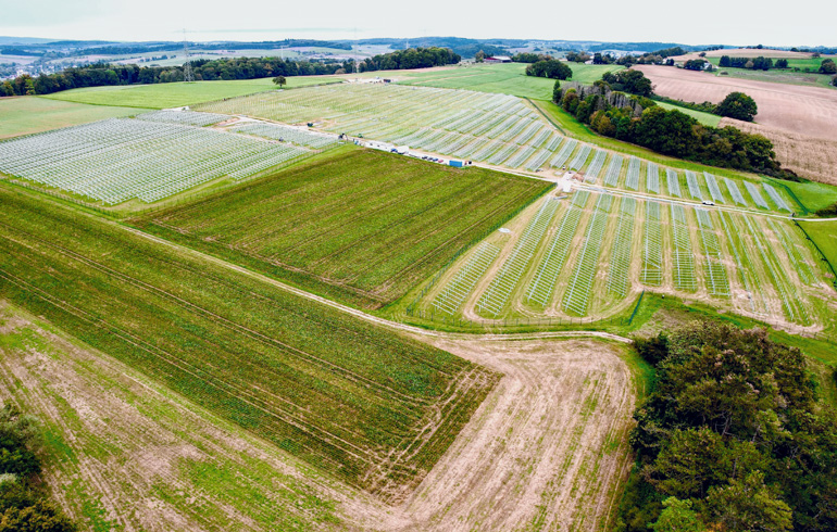 Solarparkplanung in Neckarbischofsheim