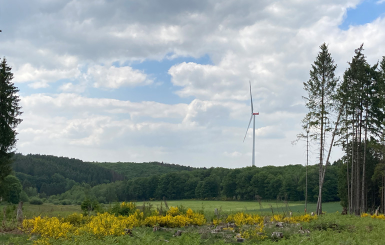 Windpark Zerfer Schneeberg 
